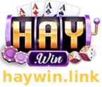 haywin-logo