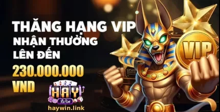 KHUYẾN MÃI HAYWIN